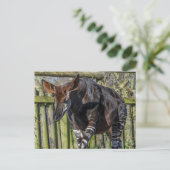 Okapiアップの閉じるビュー葉書 ポストカード (スタンド正面)