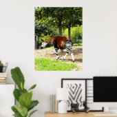 Okapi歩く 遠くに ポスター (ホームオフィス)