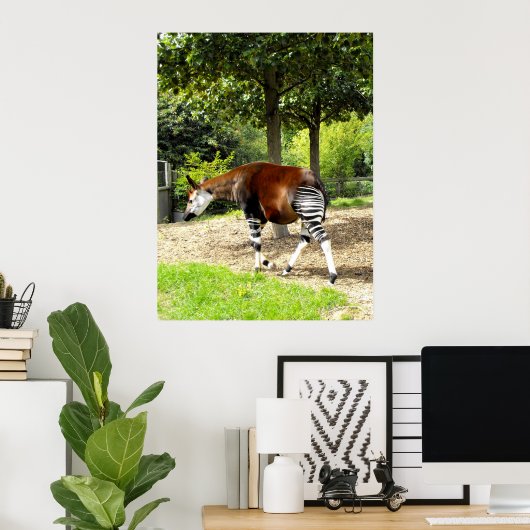 Okapi歩く 遠くに ポスター (ホームオフィス)