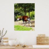 Okapi歩く 遠くに ポスター (キッチン)