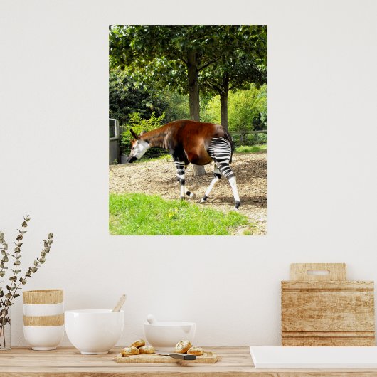 Okapi歩く 遠くに ポスター (キッチン)