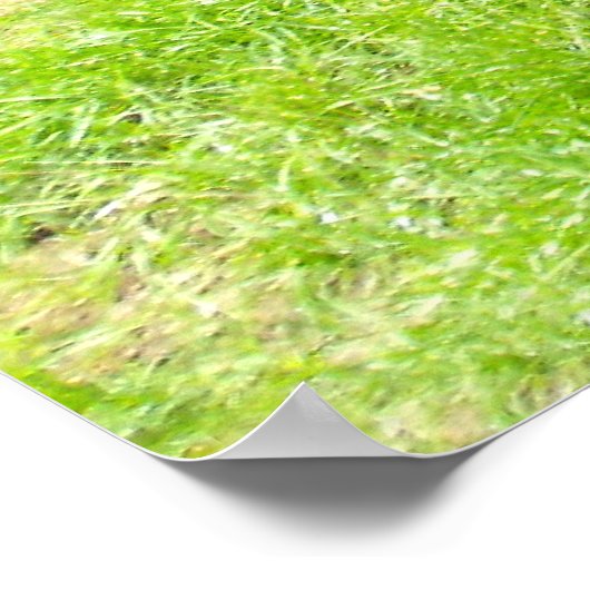 Okapi歩く 遠くに ポスター (角)