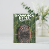 Okavanga Delta Botswana Hippo Wildlife Travel ポストカード (スタンド正面)