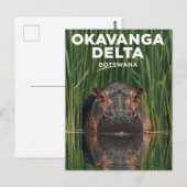 Okavanga Delta Botswana Hippo Wildlife Travel ポストカード (正面/裏面)