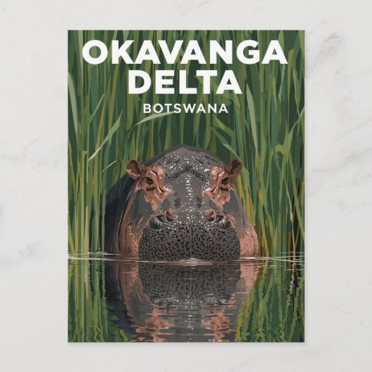 Okavanga Delta Botswana Hippo Wildlife Travel ポストカード (正面)