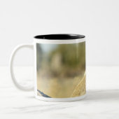 Okavangoのデルタ、ボツワナ2 ツートーンマグカップ (左)