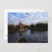 Okavangoデルタポストカード ポストカード (正面/裏面)