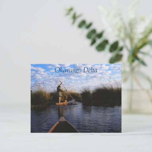 Okavangoデルタ旅行はがき ポストカード (スタンド正面)