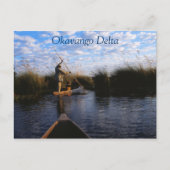 Okavangoデルタ旅行はがき ポストカード (正面)