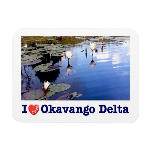 Okavango水ユリ – マグネット (横)