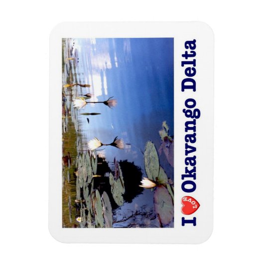 Okavango水ユリ – マグネット (縦)