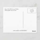 OKCシェルターの犬 ポストカード (裏面)