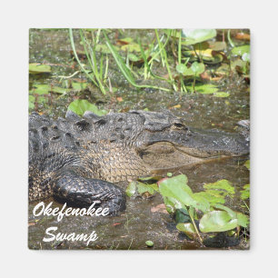 Okefenokeeの泥地のWaycrossジョージアのわに磁石 マグネット