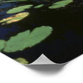 Okefenokee NWRのポスター/湿地 ポスター (角)