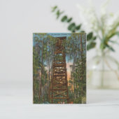 Okelenokee Swamp Park, Waycross, Georgia ポストカード (スタンド正面)