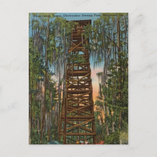 Okelenokee Swamp Park, Waycross, Georgia ポストカード (正面)