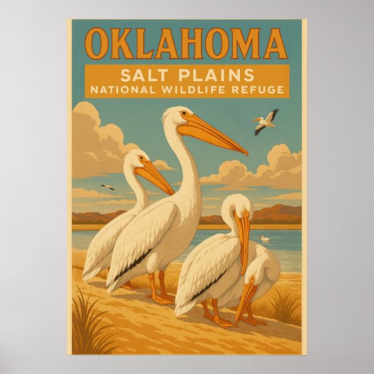 Oklahoma salt plains national wildlife refuge V01 ポスター (正面)