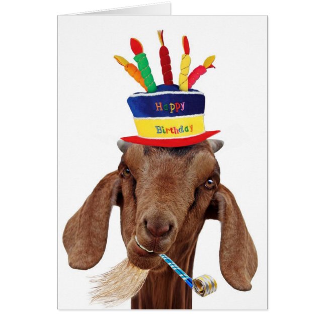 Olのヤギ (正面)