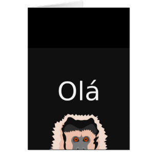 Ola猿