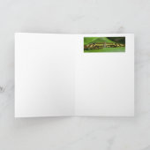 Olbrichの蝶2 カード (内部)