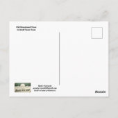 Old Abandoned Store Postcard ポストカード (裏面)