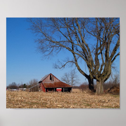 Old Barn in Illinois USA Canvas Print ポスター (正面)