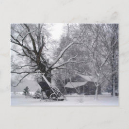 Old Barn & Oak Tree in Rural Winter Snow Photo ポストカード