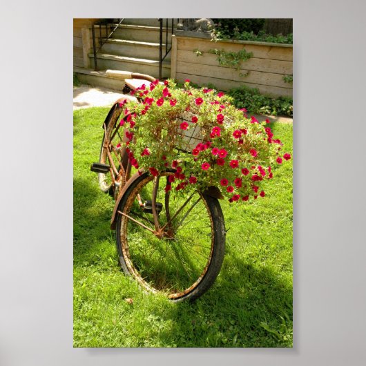 Old Bicycle Lawn Decor Flower Planter ポスター (正面)