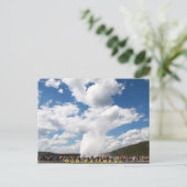 Old Cade Geyser Postcard :イエローストーンナトル ポストカード (スタンド正面)