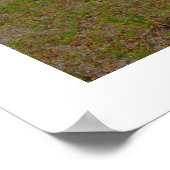 Old Coachmen -ヴィンテージキャンプトレーラーrvアート写真 ポスター (角)