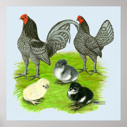 Old English Blue Game Family ポスター (正面)