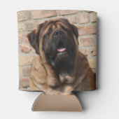 old english Mastiff  缶クーラー (裏面)