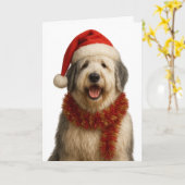 Old English Sheepdog in a Santa hat Christmas card カード (黄色い花)