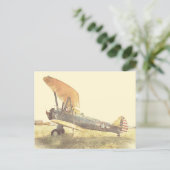 Old Fighter Biplane Airplanes Postcard ポストカード (スタンド正面)