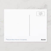 Old Fighter Biplane Airplanes Postcard ポストカード (裏面)