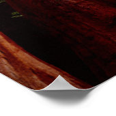 Old-growth Sequoia Redwood trees ポスター (角)