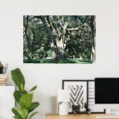 OLD LOUISIANA OAK TREE POSTER ポスター (ホームオフィス)