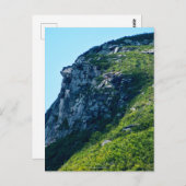 Old Man of the Mountain, Summer, P2279 ポストカード (正面/裏面)