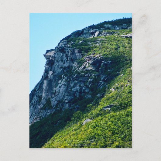 Old Man of the Mountain, Summer, P2279 ポストカード (正面)