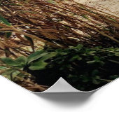 Old Man's Beach- San Onofre State Beach ポスター (角)