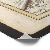 Old Map of Belgium and Netherlands from 1702-1707 ポスター (角)