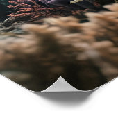 Old Mermaid ポスター (角)