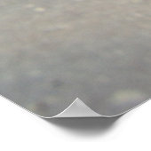 Old Mill滝、Robert H Treman州パーク、NY ポスター (角)