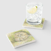 Old Mr. Prickly Pin (Hedgehog) (Beatrix Potter) ストーンコースター (横)