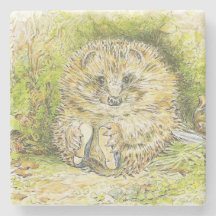 Old Mr. Prickly Pin (Hedgehog) (Beatrix Potter)