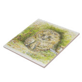 Old Mr. Prickly Pin (Hedgehog) (Beatrix Potter) タイル (側面)