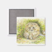 Old Mr. Prickly Pin (Hedgehog) (Beatrix Potter) マグネット (正面/裏面)