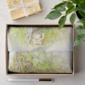 Old Mr. Prickly Pin (Hedgehog) (Beatrix Potter) 薄葉紙 (ギフト)