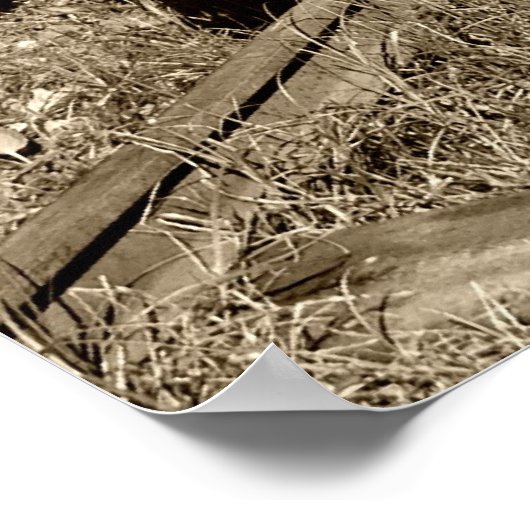 Old narrow-gauge steam engine Gr-269 ポスター (角)