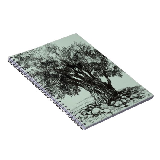Old Olive tree  ノートブック (右側)